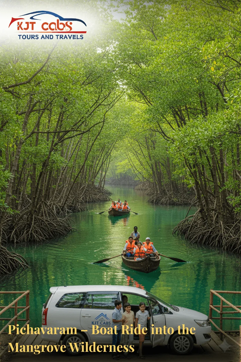 Pichavaram Mangrove Forest Tour Cab from Kumbakonam